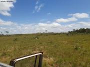 Fazenda para Venda em Redenção/PA Alto Paraná 2 Quartos