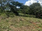 Fazenda para Venda em Ribeirão Bonito/SP Centro