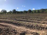Fazenda para Venda em São Caitano/PE Centro 3 Quartos