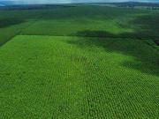Fazenda para Venda em São João do Paraíso/MG Centro 1...