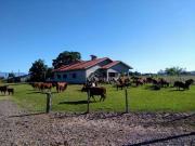 Fazenda para Venda em São João do Sul/SC Três Coqueiros...