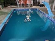 Fazenda para Venda em São José dos Campos/SP Alto da...