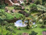 Fazenda para Venda em São José dos Campos/SP Área Rural...