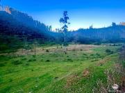 Fazenda para Venda em São José dos Campos/SP São...