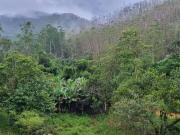 Fazenda para Venda em São José dos Campos/SP São...