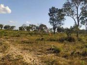 Fazenda para Venda em São Romão/MG Centro 1 Quartos