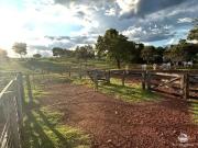 Fazenda para Venda em Sandolândia/TO Setor Central 3 Quartos