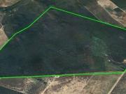 Fazenda para Venda em Santa Rita de Cássia/BA Zona Rural