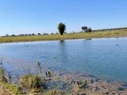 Fazenda para Venda em Santa Rita do Pardo/MS Zona Rural