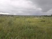 Fazenda para Venda em Santa Rita do Tocantins/TO Zona Rural