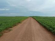 Fazenda para Venda em Santa Rita do Tocantins/TO Zona Rural