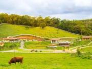 Fazenda para Venda em Santa Rosa de Lima/SC Centro 11...