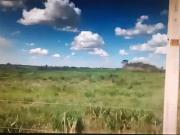 Fazenda para Venda em Santana do Araguaia/PA Zona Rural