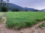 Fazenda para Venda em Santo Amaro da Imperatriz/SC Sul...