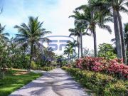 Fazenda para Venda em Serra/ES Chapada Grande