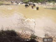 Fazenda para Venda em Sete Lagoas/MG Área Rural de Sete...