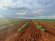 Fazenda para Venda em Sete Lagoas/MG Fátima 10 Quartos
