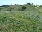 Fazenda para Venda em Socorro/SP Centro