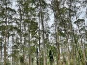 Fazenda para Venda em Sorocaba, Área Rural de Sorocaba