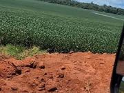 Fazenda para Venda em Tabaporã/MT Centro 1 Quartos