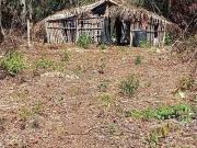 Fazenda para Venda em Tesouro/MT Centro 1 Quartos