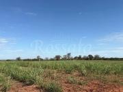 Fazenda para Venda em Três Fronteiras/SP Zona Rural