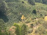 Fazenda para Venda em Ubaporanga/MG Zona Rural