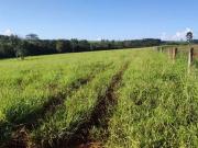 Fazenda para Venda em Uberaba/MG Área Rural de Uberaba 4...