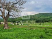 Fazenda para Venda em Uberlândia/MG Área Rural de...