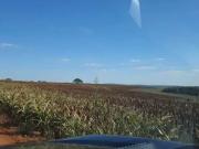 Fazenda para Venda em Uberlândia/MG Área Rural de Uberlândia