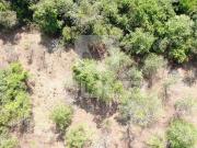 Fazenda para Venda em Uberlândia/MG Área Rural de...