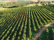 Fazenda para Venda em Ubirajara/SP Zona Rural