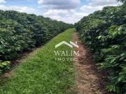 Fazenda para Venda em Varginha/MG Área Rural de Varginha...