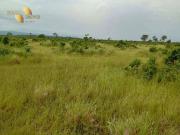 Fazenda para Venda em Vila Bela da Santíssima...