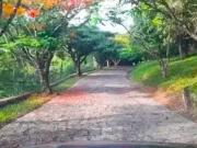Fazenda para Venda em Vitória de Santo Antão/PE Matriz