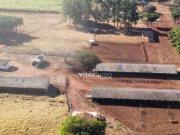Fazenda Região de Uberlândia, dupla aptidão, há 10 km da...