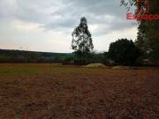 FAZENDA REGIÃO NOVA BETÂNIA