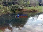 Fazenda região de Uberlândia 21 alqueires