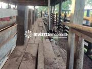 Fazenda Residencial Ã venda, Centro, Pium FA0335