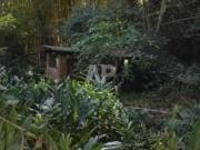 Fazenda Rural à venda, Pinheirinho, Itu FA0094