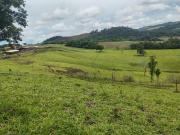 Fazenda, Rural, Bandeirantes, PR