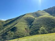 Fazenda São Francisco Xavier 456.000m²