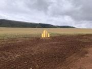 Fazenda Sacramento /Araxá 375 HECTARES