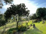 Fazenda / SÃtio / ChÃ¡cara Ã venda Rodovia BR 116,...