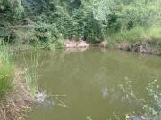 Fazenda / Sítio para venda em Piedade em Piedade São...