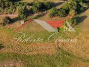 Fazenda / Sítio para venda em Unamar tamoios em Cabo...