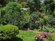 Fazenda / Sítio para venda em Vila Nova Bonsucesso em...