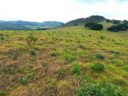 Fazenda / Sítios / Chácaras à venda em Campo Belo, no...