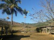 Fazenda / Sítios / Chácaras à venda em Guaraciaba, no...