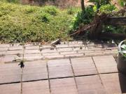 Fazenda / Sítios / Chácaras à venda em Itaúna, no bairro...